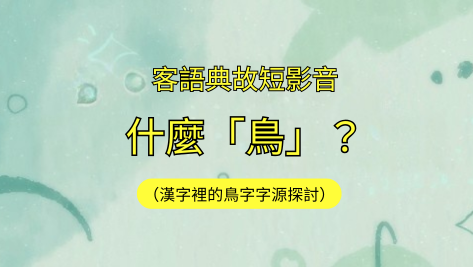 客語典故短影音-什麼「鳥」？（漢字裡的鳥字字源探討）