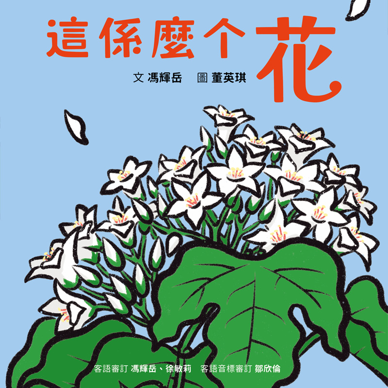 這係麼个花